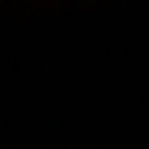 Meet your Posher, Anne